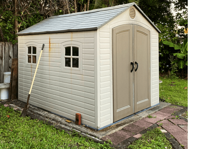 skunk-under-shed-Whitby